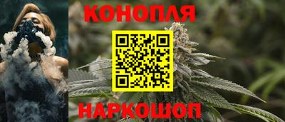 гашик Лесосибирск