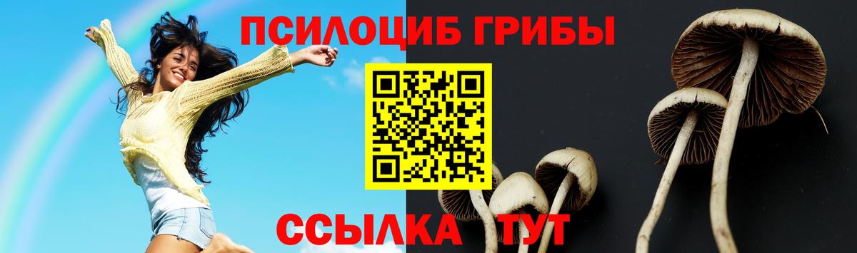 Псилоцибиновые грибы Magic Shrooms Ухта
